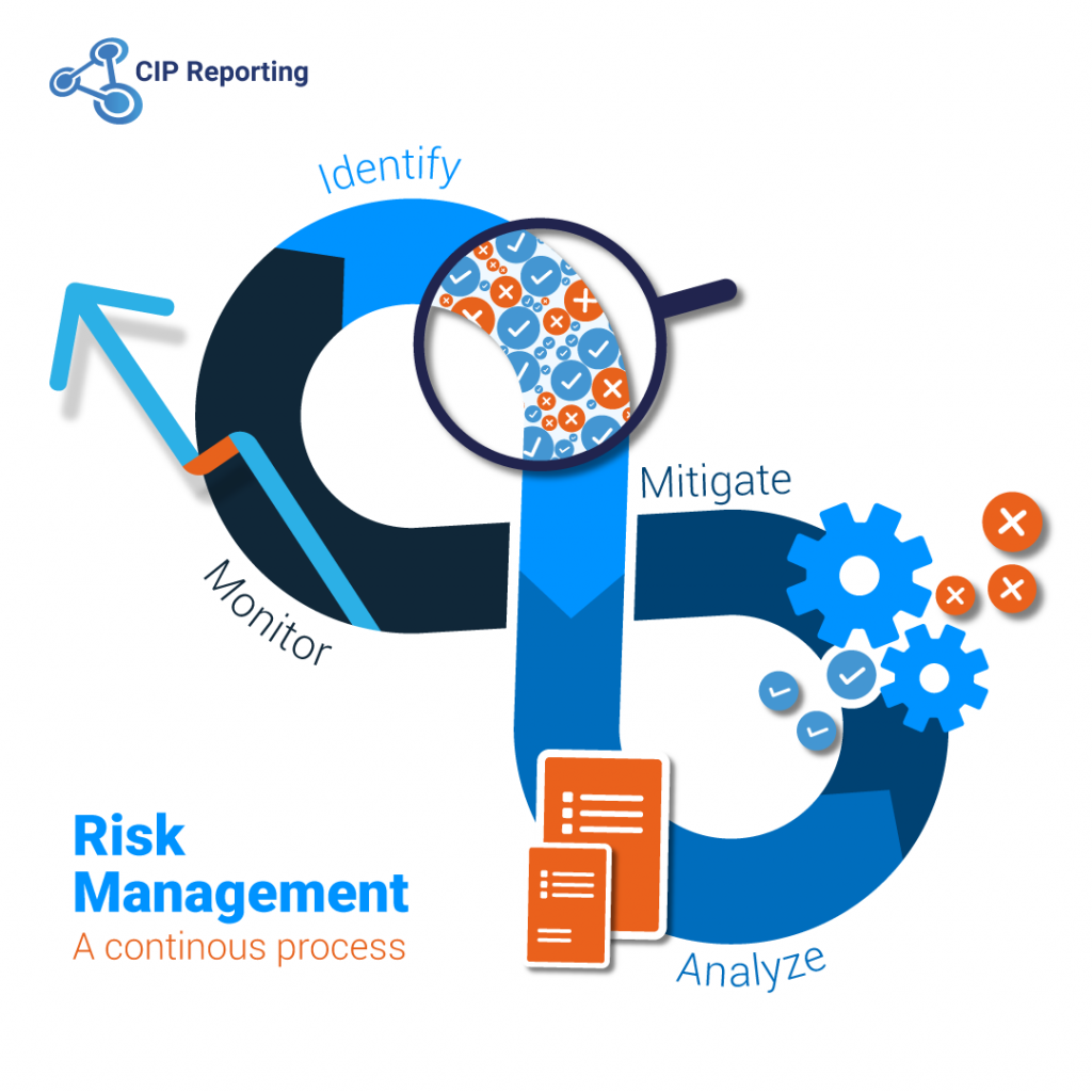 risk management and problem solving